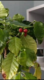 Фотография поста