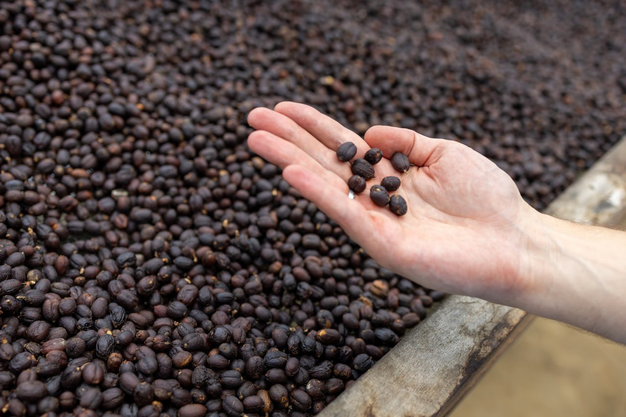 Фотография поста